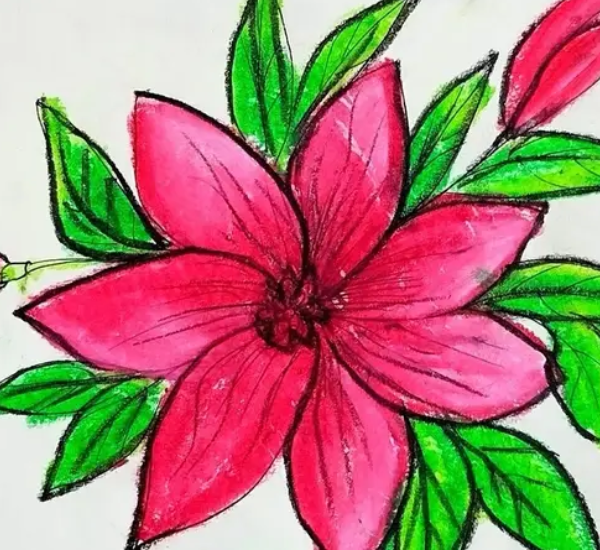 drawing:b6yad8or5mm= flower