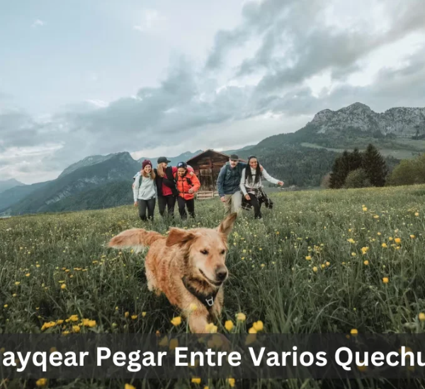 Huayqear Pegar Entre Varios Quechua: From Incan Times to the Present Day