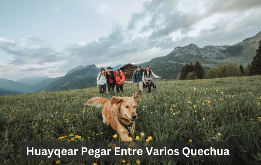 Huayqear Pegar Entre Varios Quechua: From Incan Times to the Present Day