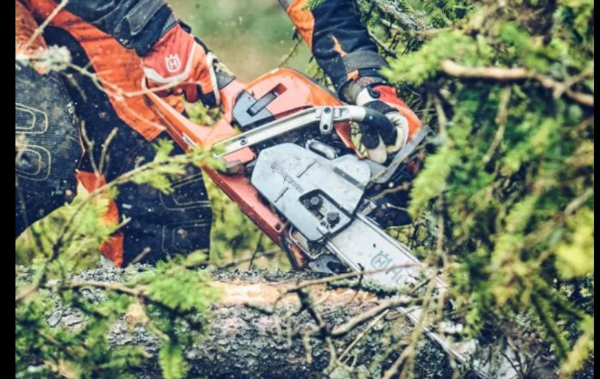 Black decker lht 2436 hedge trimmer smokes: 9 Easy Steps to Prevent It Forever