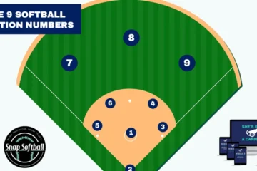 softball positions dichotomous key