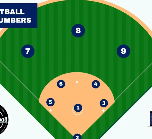 Softball Positions Dichotomous Key: The Ultimate Guide to Smart Player Roles