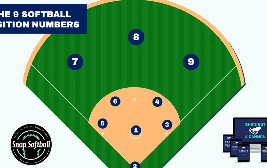 Softball Positions Dichotomous Key: The Ultimate Guide to Smart Player Roles