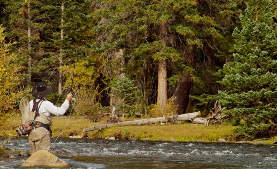 maverick campground new mexico fishing