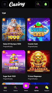 A Comprehensive Guide to Casiny Explore the Future of Online Gaming