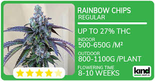 The Comprehensive Guide to Marijuana Seeds The Comprehensive Guide to Marijuana Seeds