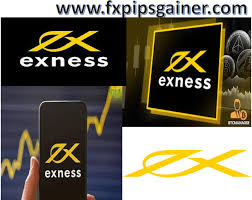 Understanding the Exness MT4 Terminal Your Comprehensive Guide